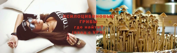 крисы Россошь