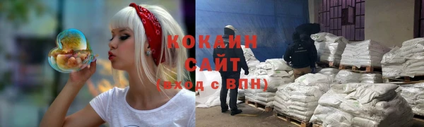 крисы Россошь