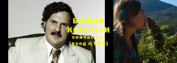 крисы Россошь