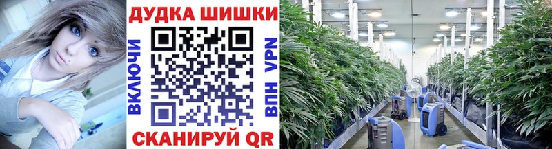 Бошки Шишки OG Kush  Купить  Протвино 